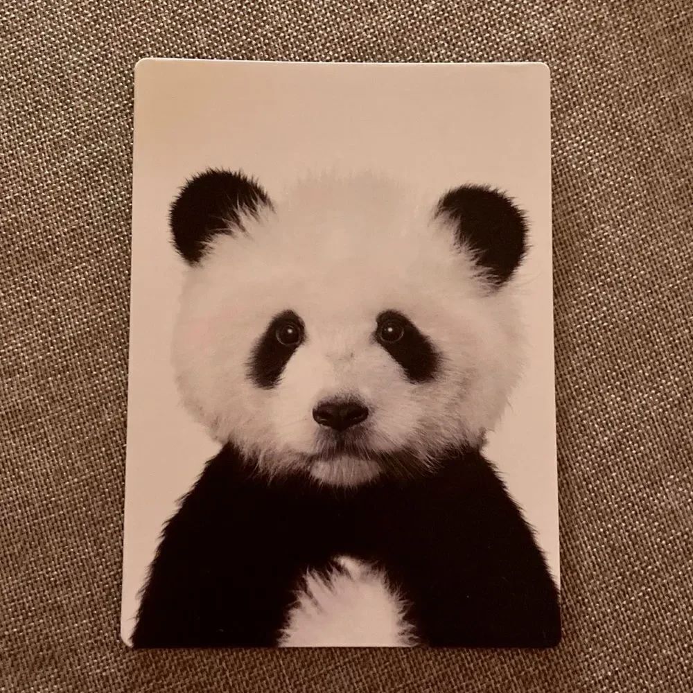 Panda Bear Magnet 🐼 - Picture 4 of 4